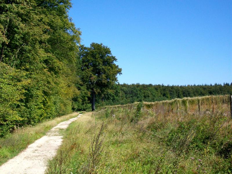 Avilly-Saint-Léonard