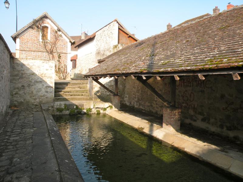 Baron