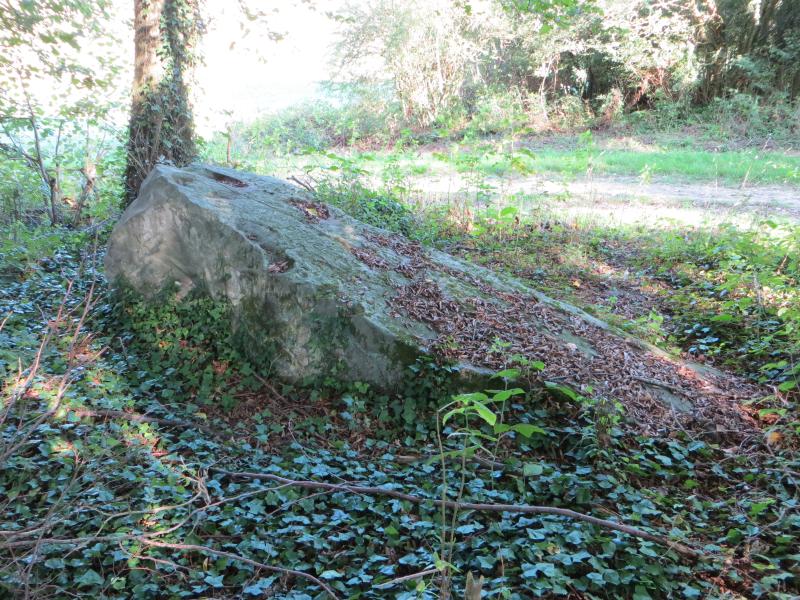 Cuvergnon