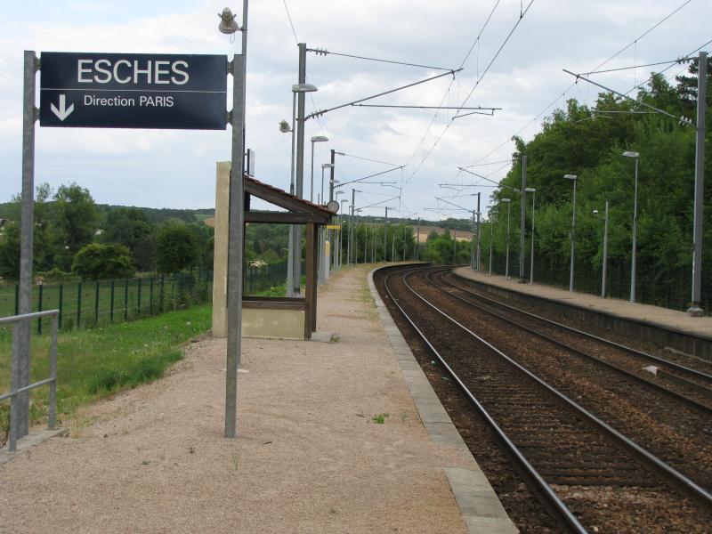 Esches