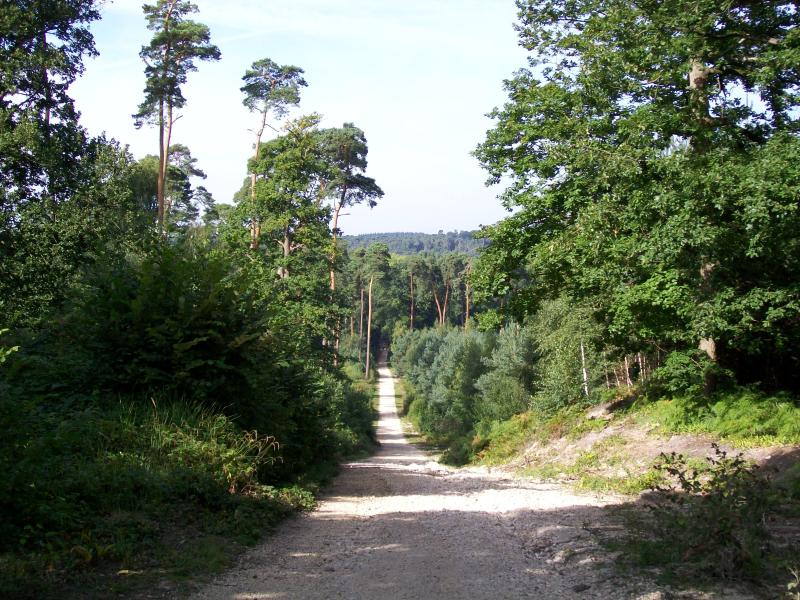 Fontaine-Chaalis