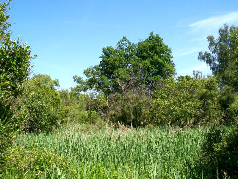 Lamorlaye