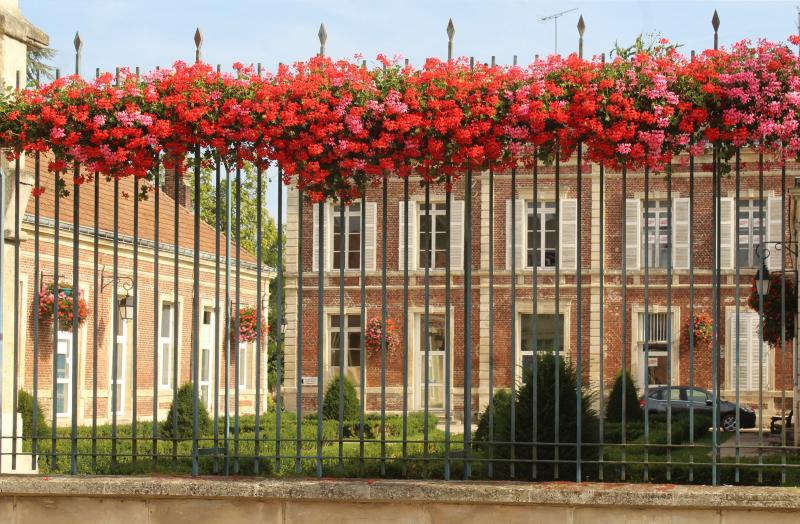 Photo 6 - Noyon, Oise (60400)