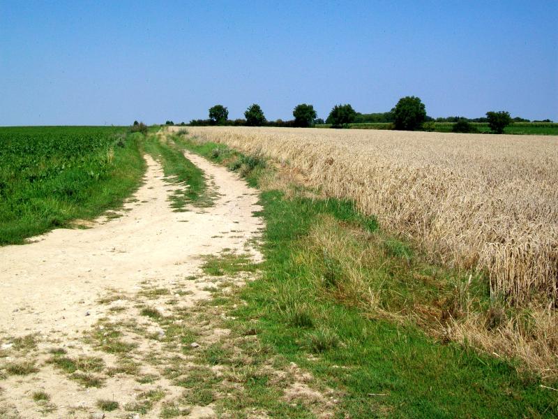 Précy-sur-Oise