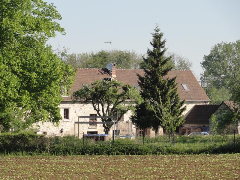 Rhuis