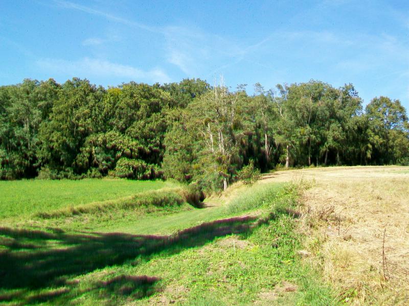 Rivecourt