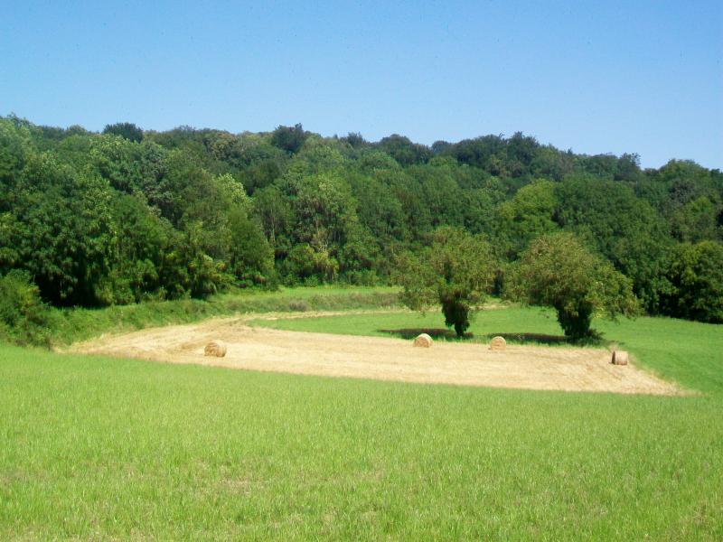 Rosoy