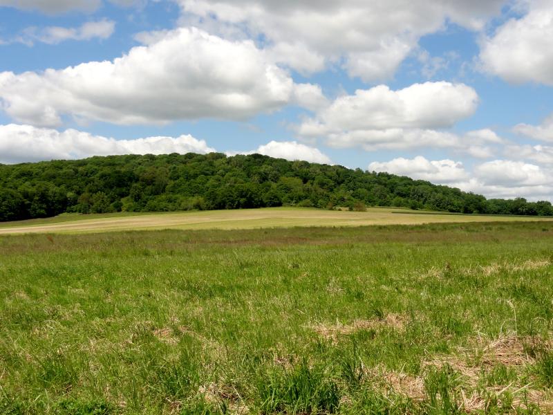 Sacy-le-Grand