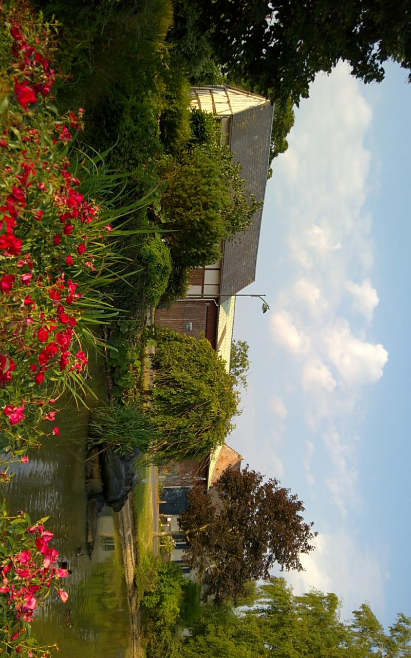 Sarnois