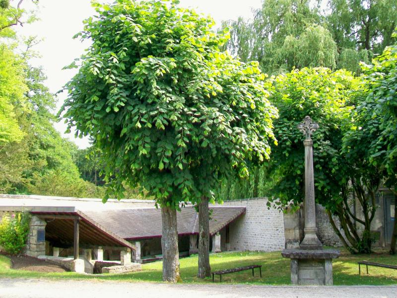 Vineuil-Saint-Firmin