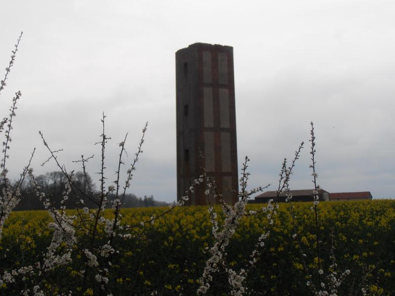 Saint-Michel-Tubœuf