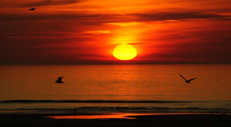 Berck