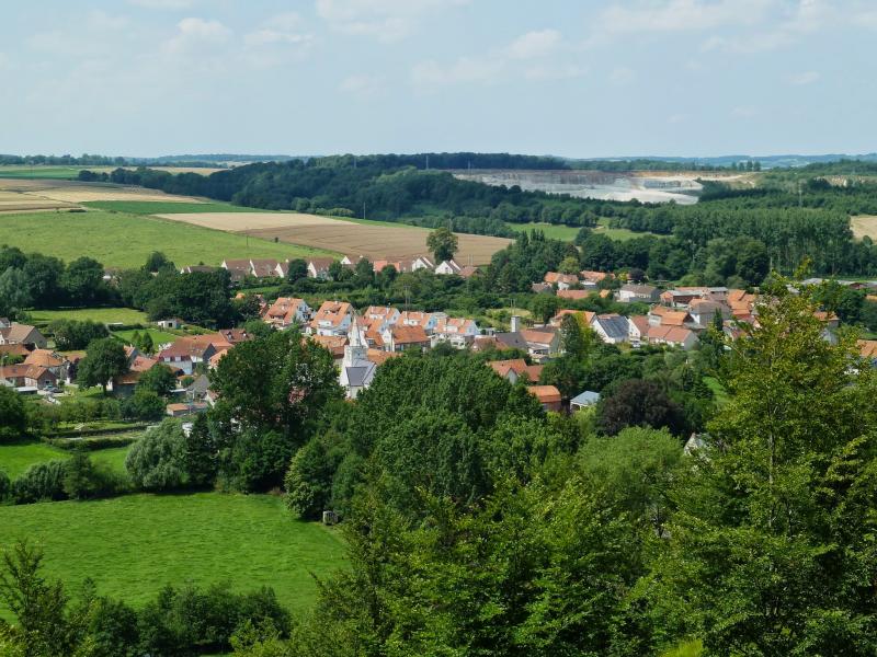 Elnes