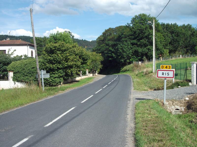 Ris