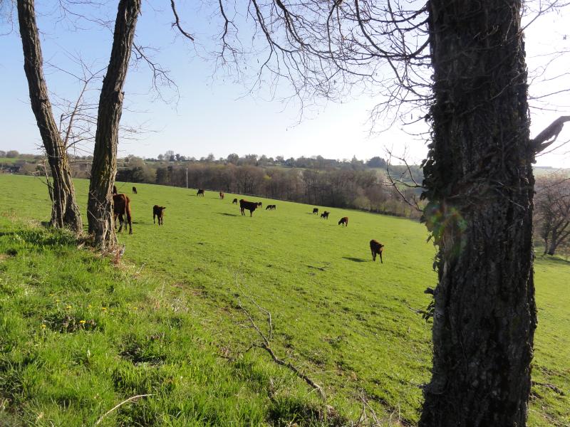 Saint-Gervais-d'Auvergne