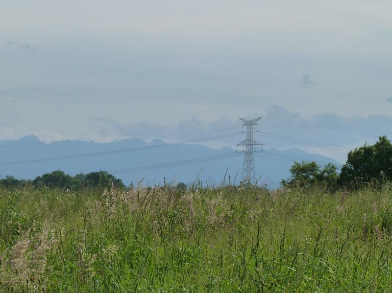Abère