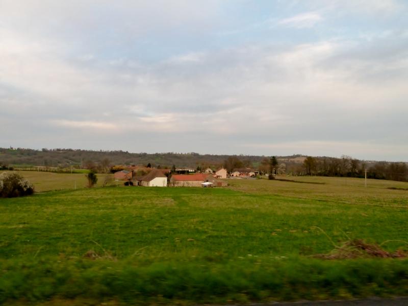 Auga