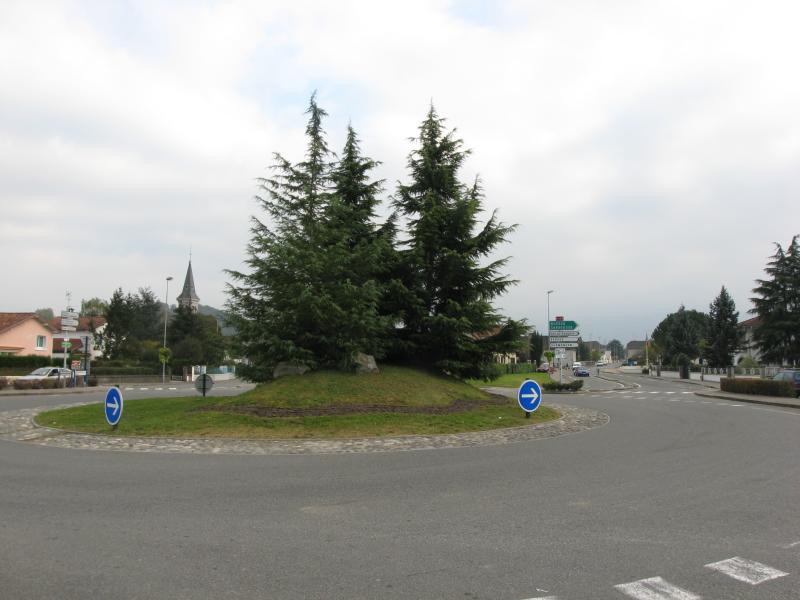 Bidos