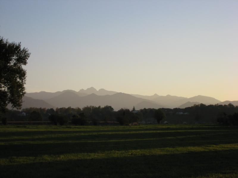 Escou