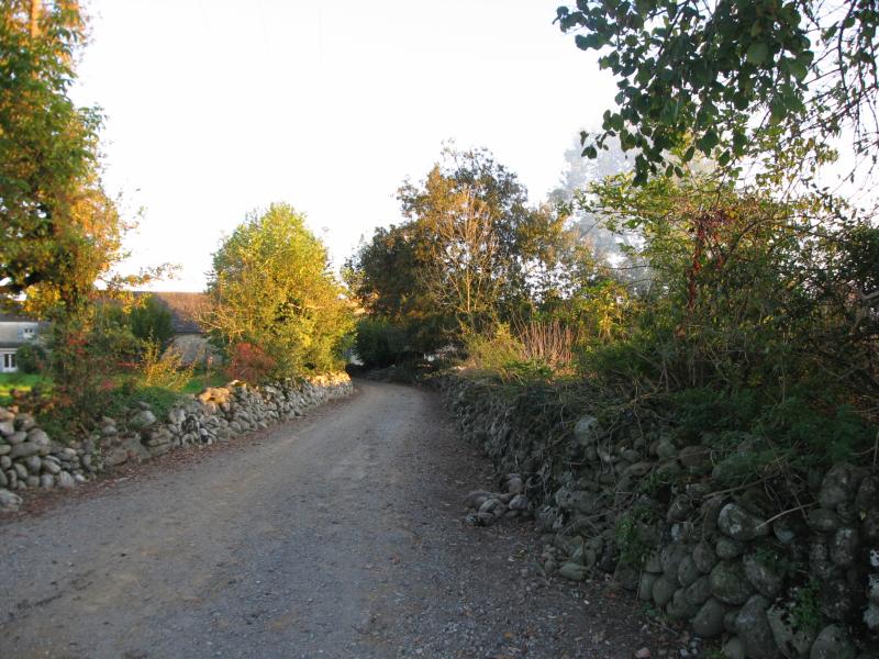 Escou