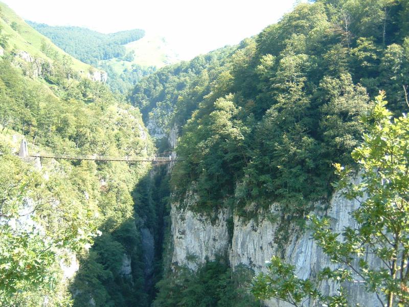 Larrau