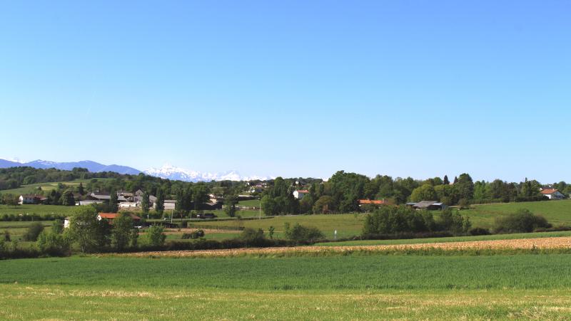Angos