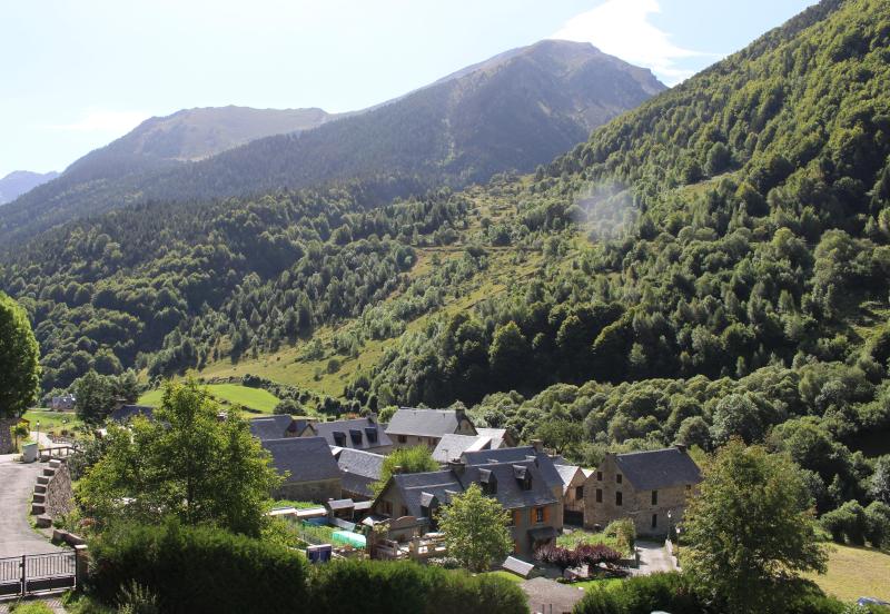 Aragnouet