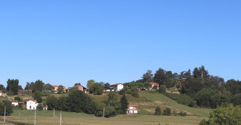 Betpouy