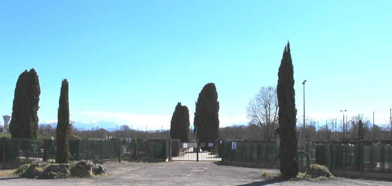 Odos