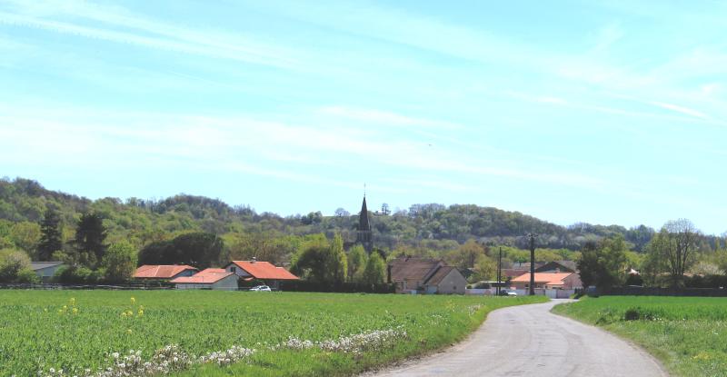 Orleix