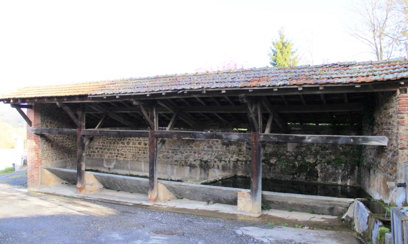 Ozon