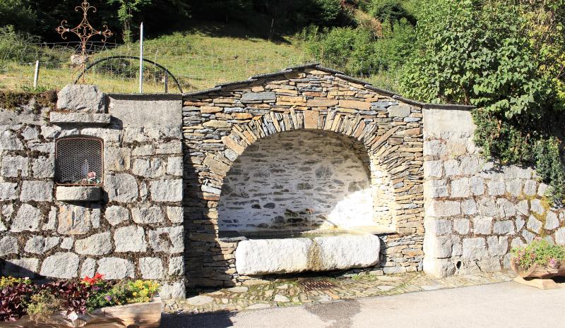 Viscos