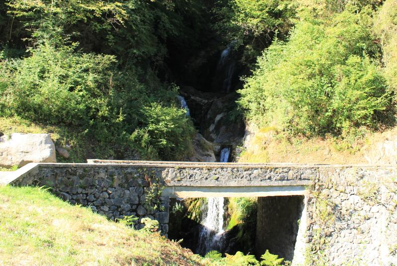 Viscos