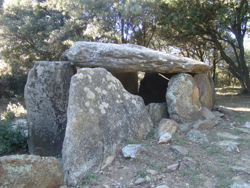 L'Albère