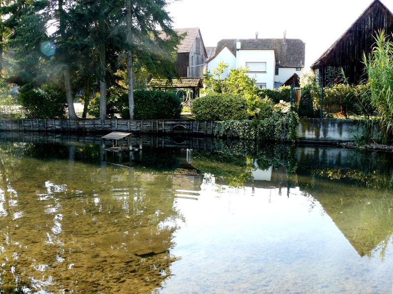 Bindernheim
