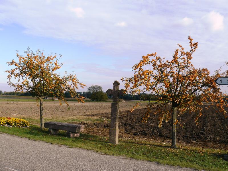 Bœsenbiesen