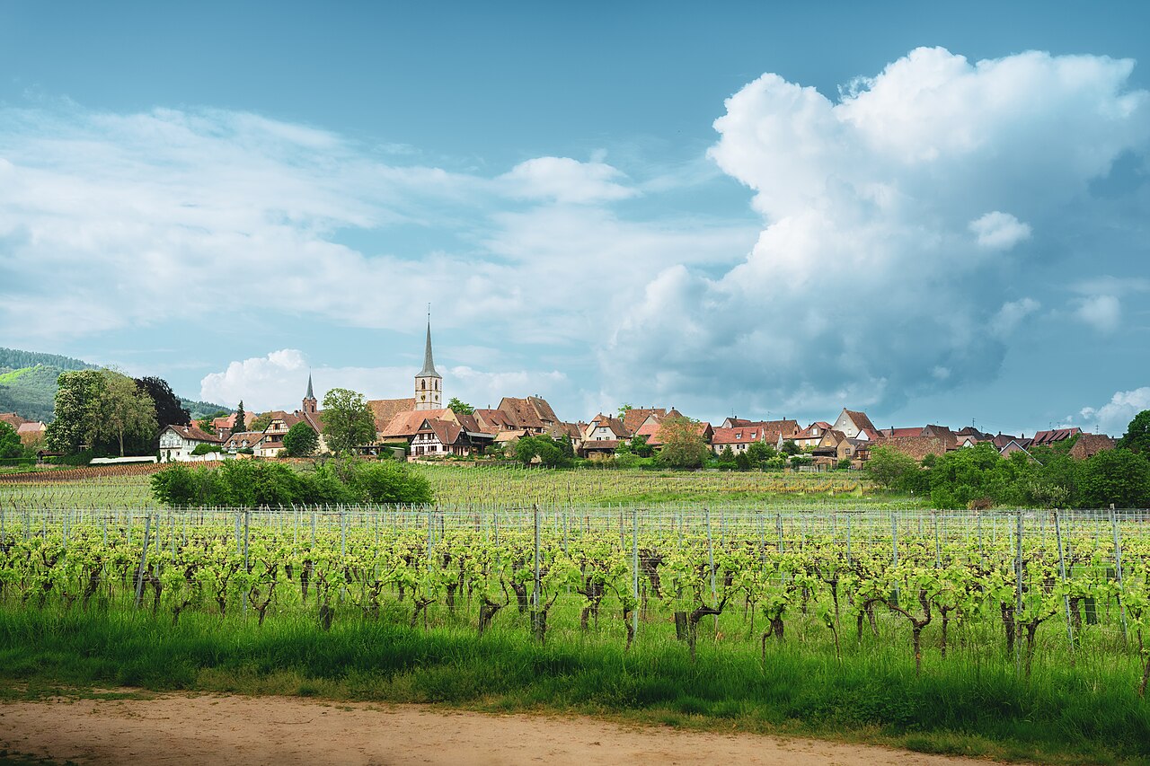 Mittelbergheim