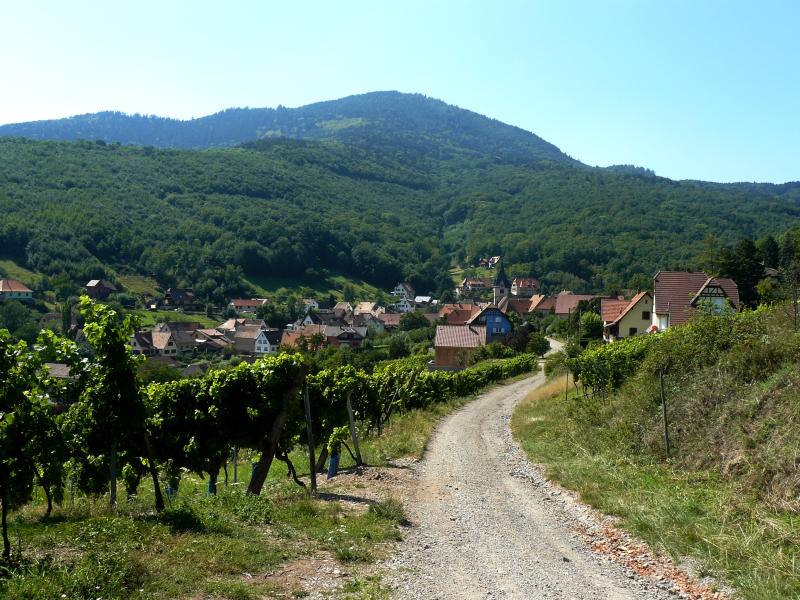Reichsfeld