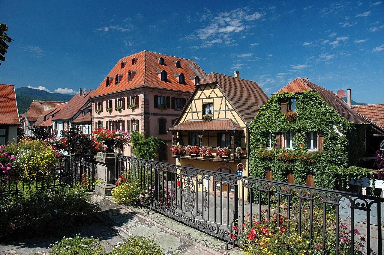 Photo 5 — Bergheim, Haut-Rhin (68750)