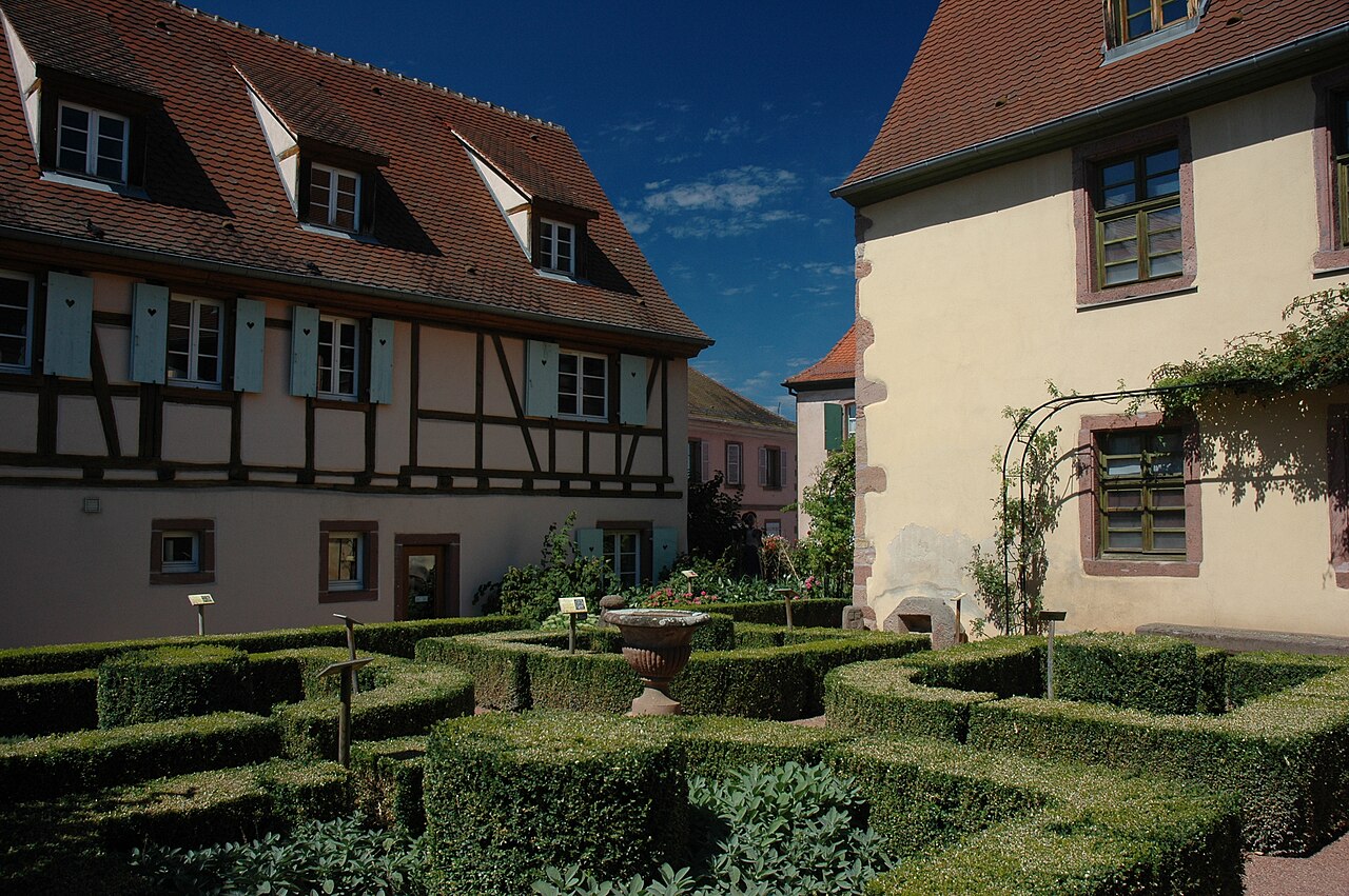 Photo 8 — Bergheim, Haut-Rhin (68750)