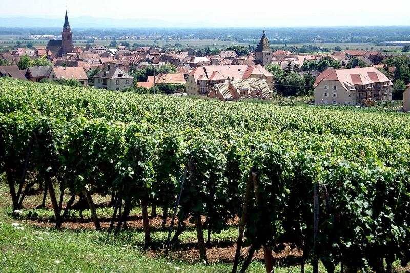 Photo 9 — Bergheim, Haut-Rhin (68750)
