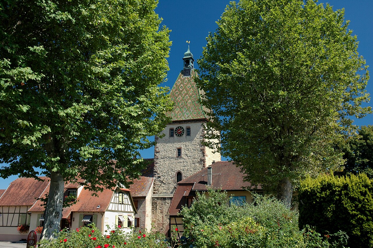 Photo 11 — Bergheim, Haut-Rhin (68750)