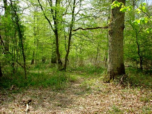 Burnhaupt-le-Bas