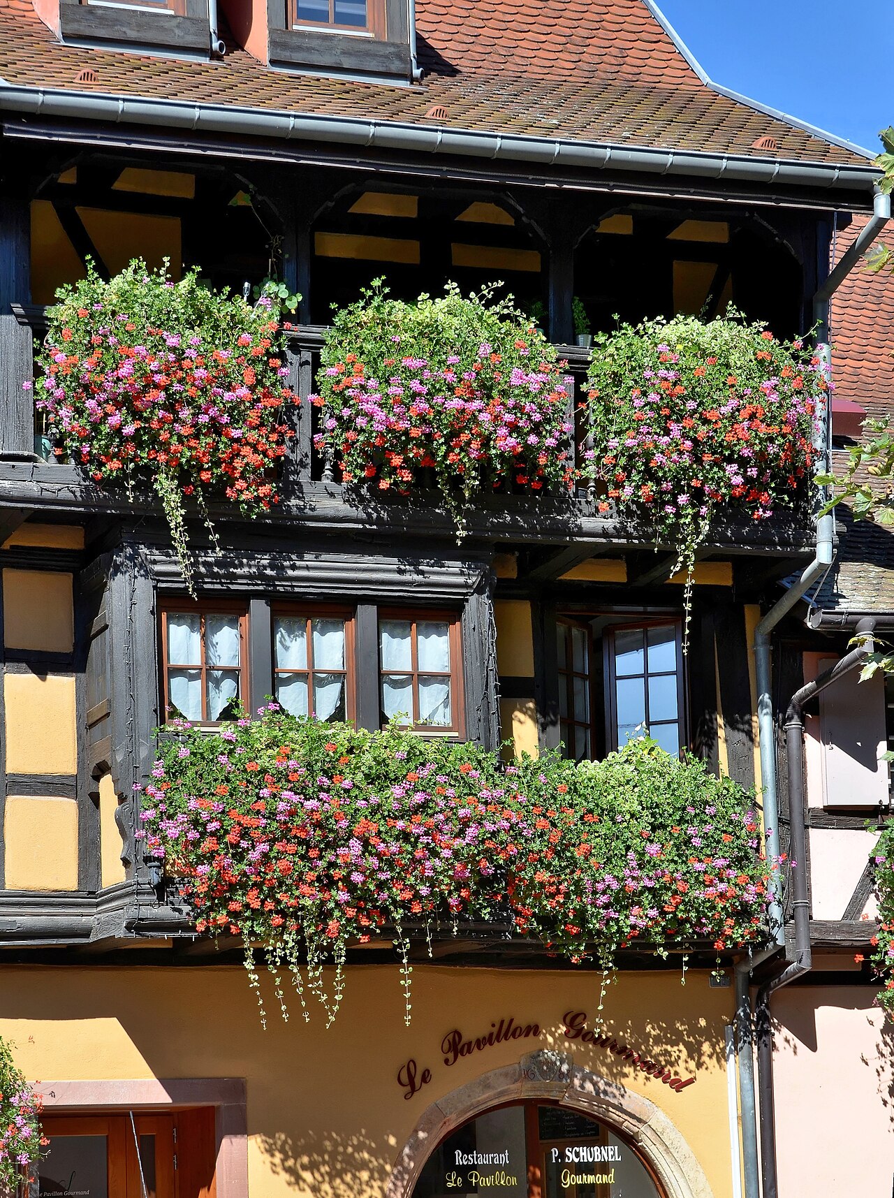 Photo 17 — Eguisheim, Haut-Rhin (68420)