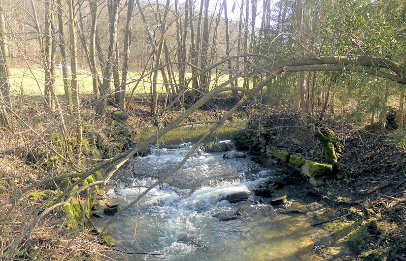 Hausgauen