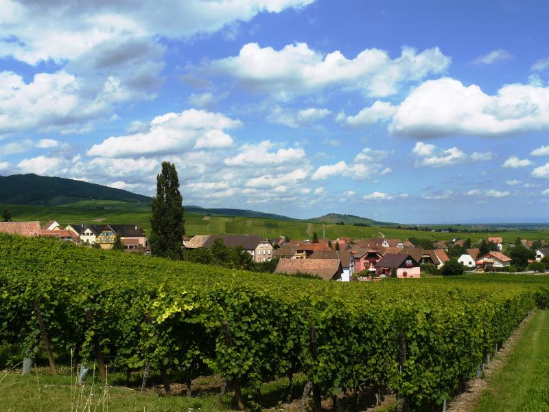 Photo 4 — Hunawihr, Haut-Rhin (68150)