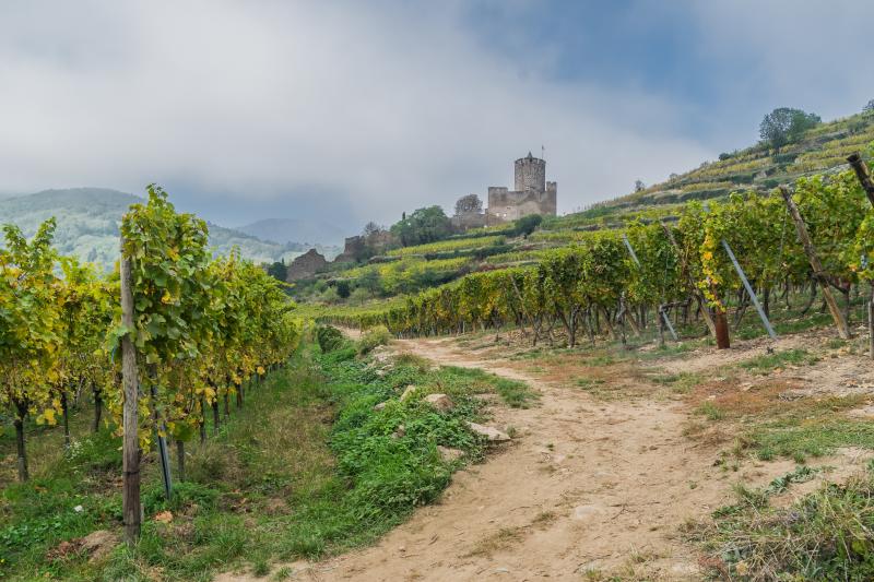 Kaysersberg Vignoble
