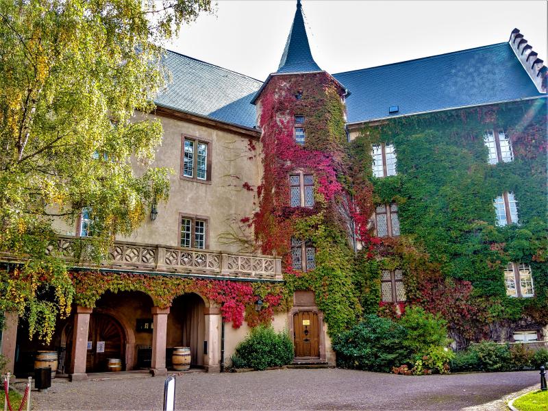 Kaysersberg Vignoble