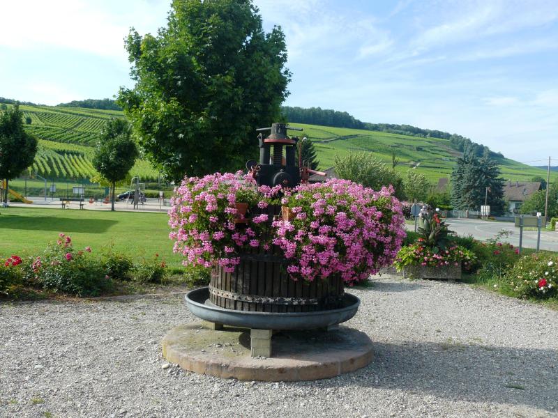 Orschwihr