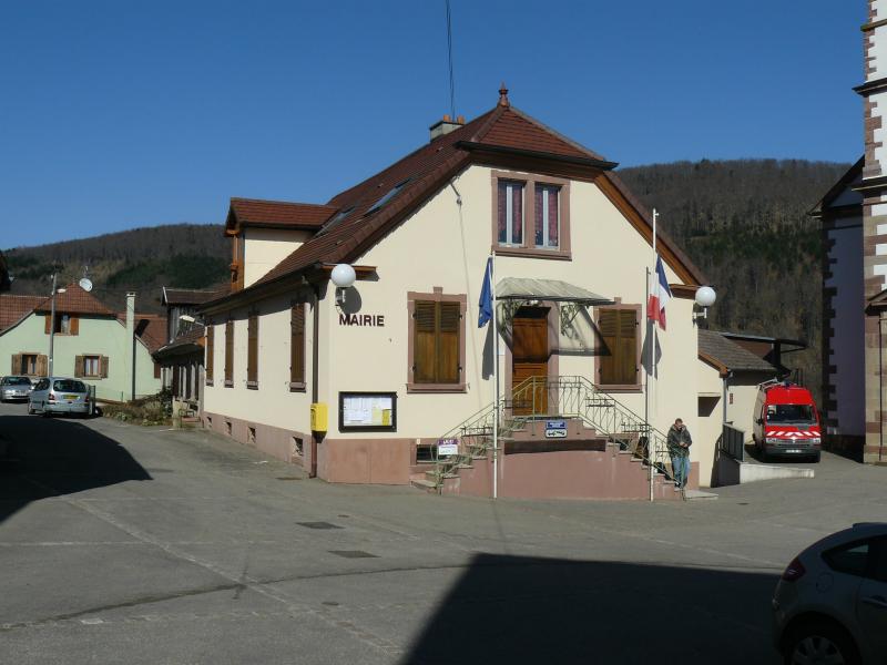 Rimbachzell